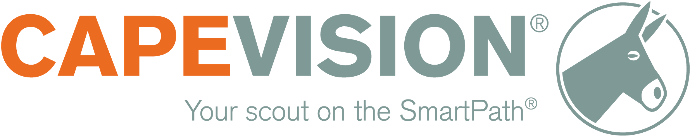 Capevision Logo